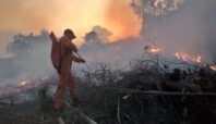 Kebakaran Hutan -
